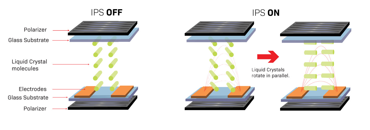 How IPS Panels Wor