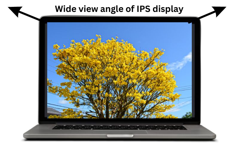 What is an IPS display